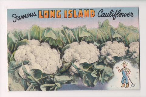 NY, Long Island - Large Cauliflower heads postcard - SL2755