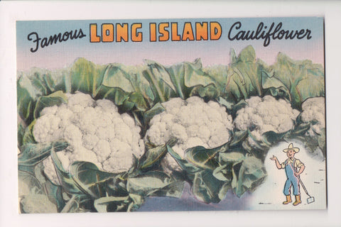 NY, LONG ISLAND - Large Cauliflower heads postcard - SL2755