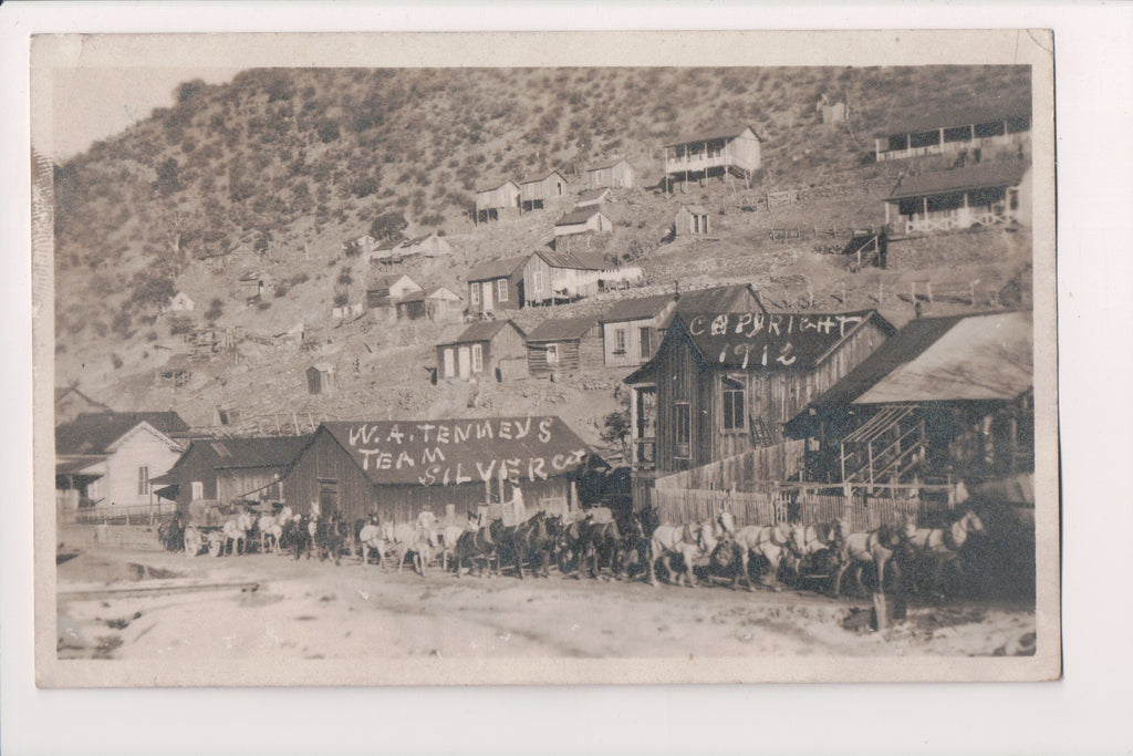 NM, Silver City - Town view - W A Tenneys Team horses - RPPC - SL2762