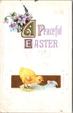 Easter - A Peaceful Easter - a chick staring at a damsel fly? postcard - SL3003