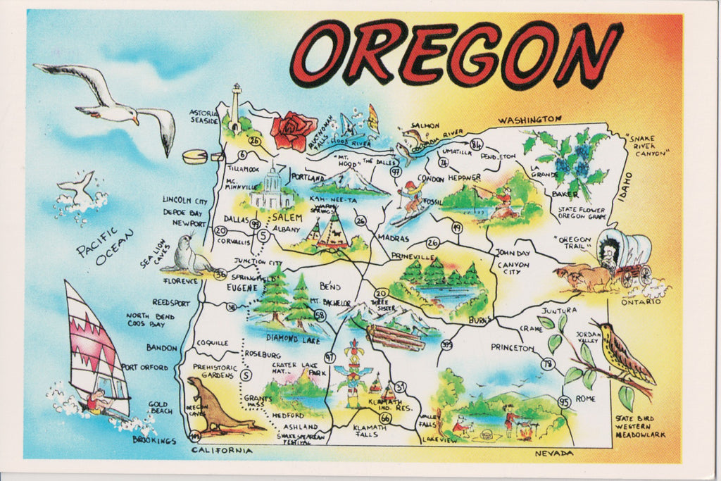 OR, Oregon - STATE MAP continental postcard - sw0134