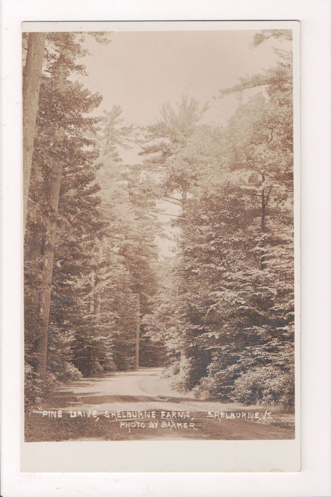 VT, SHELBURNE  - Shelburne Farms, Pine Drive - Barker RPPC - T00148