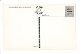 TN, TENNESSEE - Greetings from, Large Letter postcard - MT0012