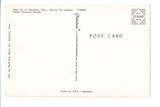 TN, Memphis - Cotton Carnival Parade, Main St - w03641