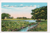 TX, Wichita Falls - Weeks Park, Municipal Golf Course postcard - IL0015