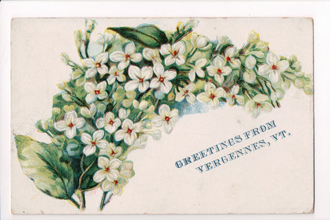 VT, VERGENNES - Greetings from postcard - A06107