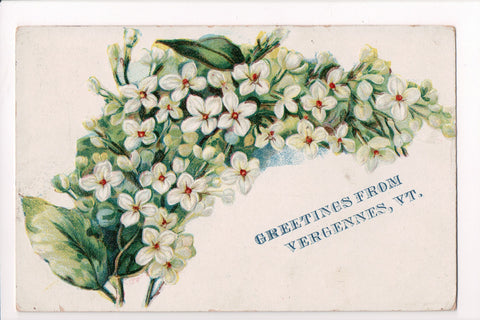 VT, Vergennes - Greetings from postcard - A06107
