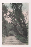 CA, Burlingame - Oak Drive - Newman postcard - w00646