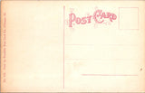 IL, Chicago - Carson, Pirie, Scott and Co - Retail Store postcard - W01002