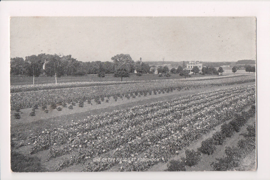 PA, Philadelphia - W Atlee Burpee and Co, 1908 postcard - w04318