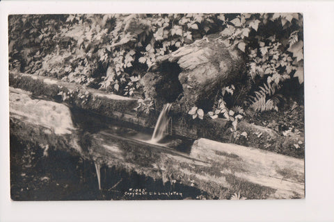 MISC - wooden water pipe, ferns and fauna - LINKLETTER RPPC - W04671