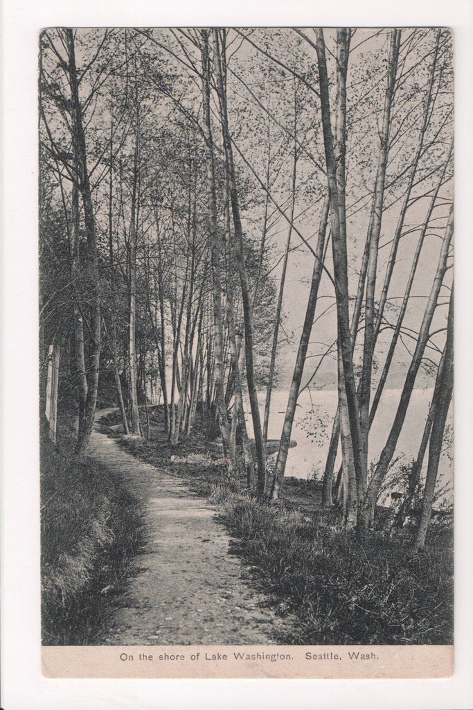 WA, Seattle - Lake Washington - Shore Path and lake postcard - H03125