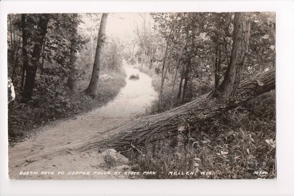 WI, MELLEN - Path to Copper Falls in State Park - RPPC - A06705