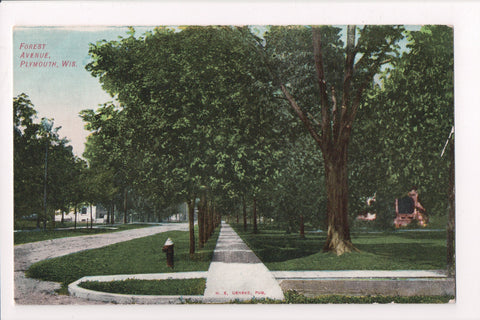 WI, Plymouth - Forest Ave, H E Genske publ postcard - C08028