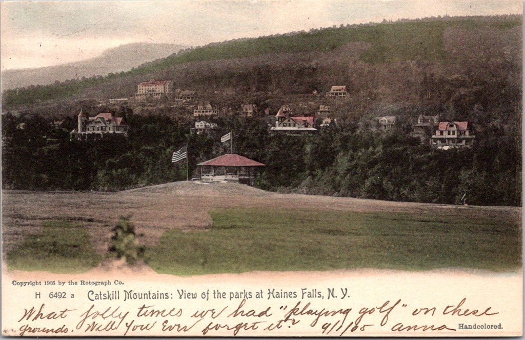 NY, HAINES FALLS - bird eye view town, park, gazebo  etc (original SOLD) A19460