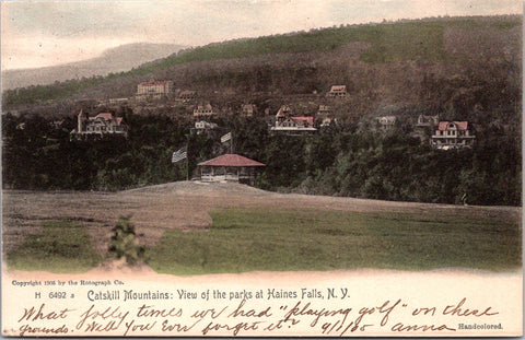 NY, Haines Falls - bird eye view town, park, gazebo, houses - 1905 postcard - A1