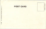 NY, BUFFALO - Fillmore Residence close-up postcard - B06155