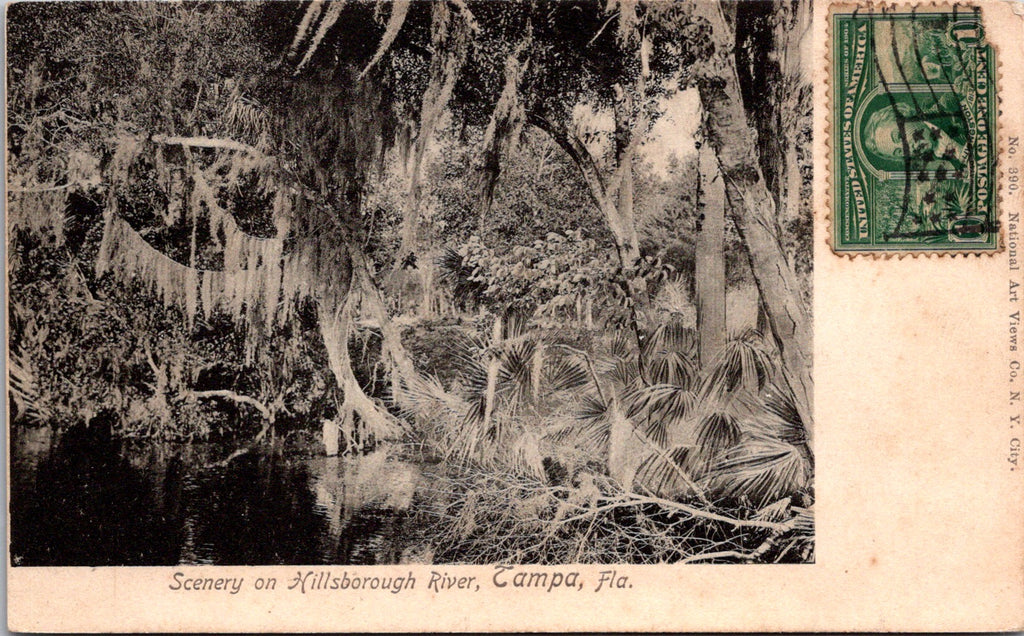 FL, Tampa - Hillsborough River scene - vintage postcard - CP0109