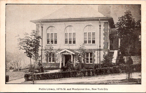 NY, New York City - Public Library postcard - DG0011