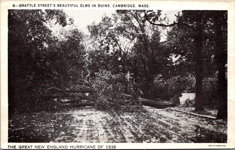 MA, Cambridge - Brattle Street after 1938 Hurricane postcard - DG0135