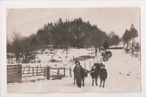 People - Youngsters walking/training pair of cows down lane - RPPC - E09049