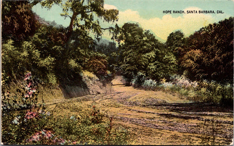CA, SANTA BARBARA - Hope Ranch scene - pub by M F Berkey - J03459