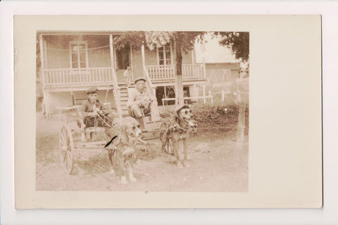 People - Boys with dog carts - dogs wearing sunglasses (original SOLD) JJ0611