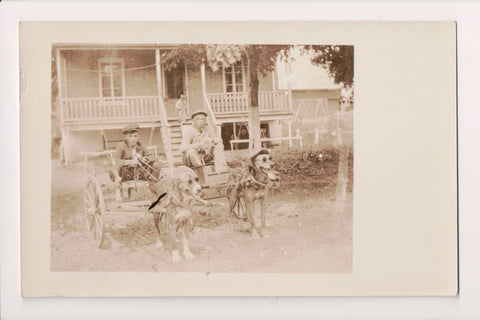 People - boys with dog carts - dogs wearing sunglasses - RPPC - JJ0611