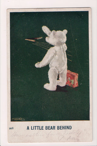 Animal - Bear or Bears postcard - Little Bear Behind - NL0194