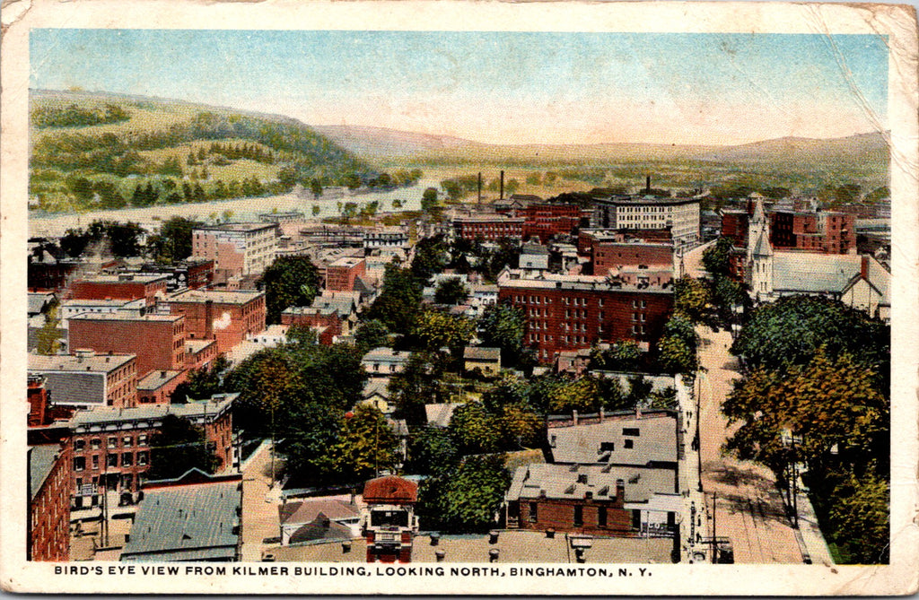NY, BINGHAMTON - Bird Eye view - Walter R Miller postcard - NL0278