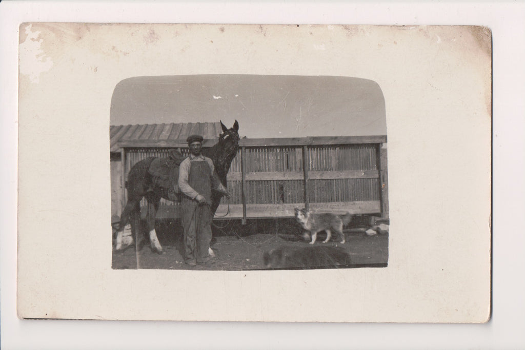 People - Man holding horse reins, collie type dog - RPPC - R00620