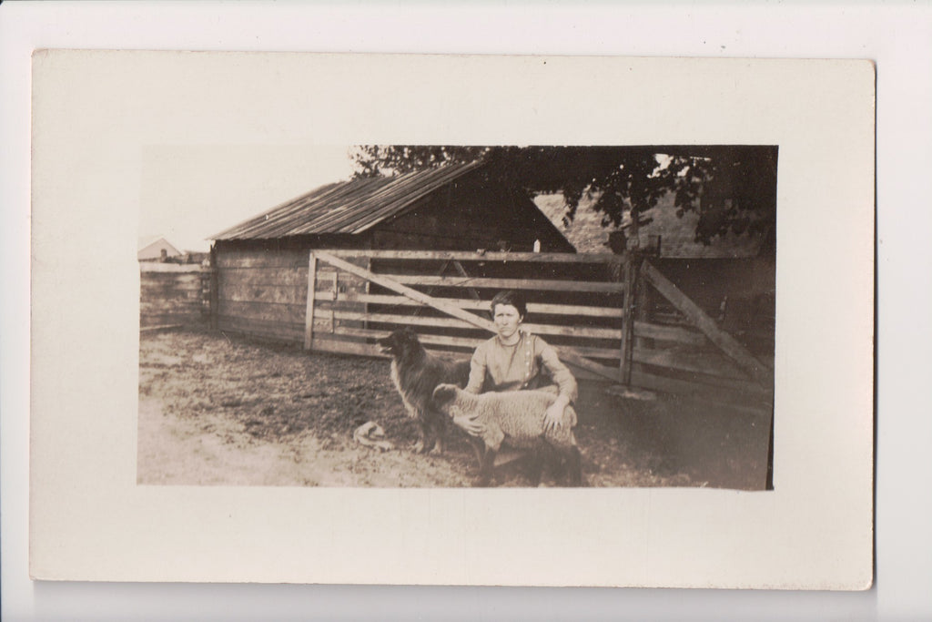 People - Woman holding a sheep, dog alongside - RPPC - R00705