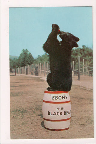 Animal - Bear postcard on barrel - North Woodstock, NH - sw0138