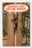 Animal - Bear postcard - Honey, you got me treed - sw0141