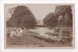 Foreign postcard - HEKKESDIN MILLS, Norfolk - family on RPPC - JR0027