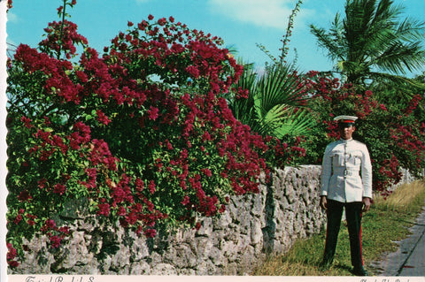 Foreign postcard - NASSAU, Bahamas - Local Policeman @1971 - F11071