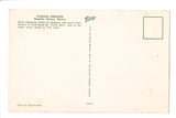 Foreign postcard - NOGALES, Mexico - Avenida Obregon, Curio Row - G17039